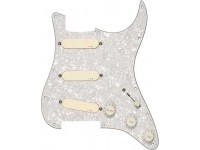 EMG DG20 Kit Pickguard EMG DG20 Kit Pickguard